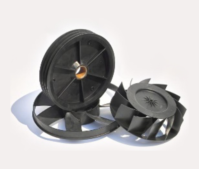 Fan