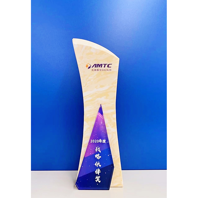 Strategic Partner Award