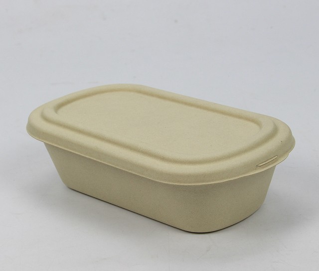 Degradable Lunch Box